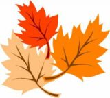 Fall Leaves